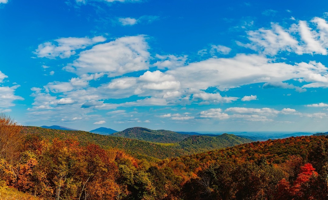 Medical Assistant Salary In Virginia Annual Hourly